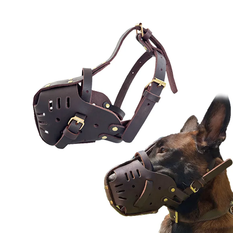 Muselière Chien Berger Allemand Rottweiler Boucles Dorées