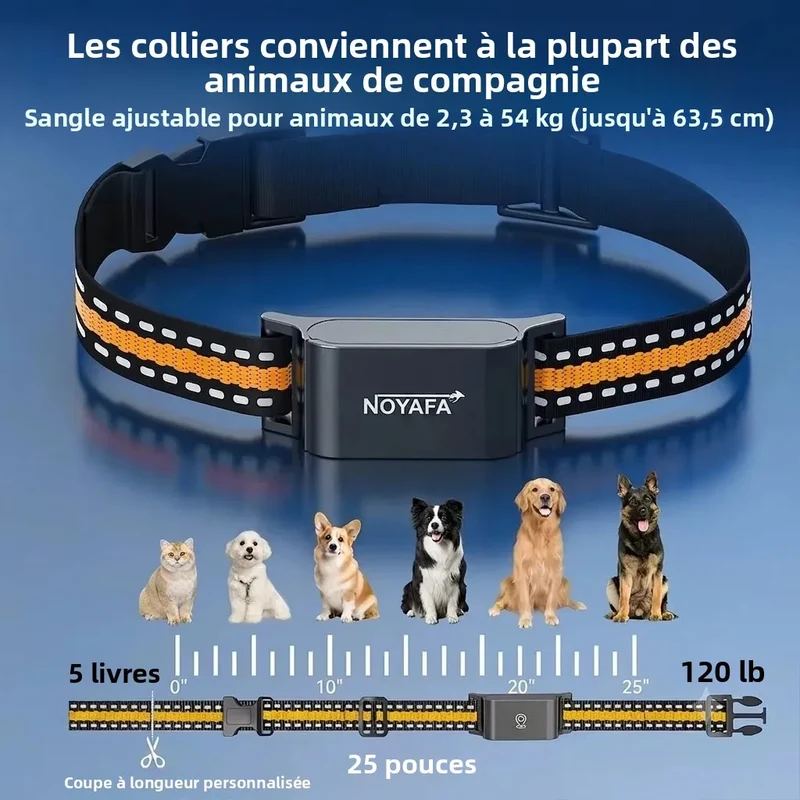 Collier GPS 4G Chien Clôture Virtuelle jusqu'à 54 kg