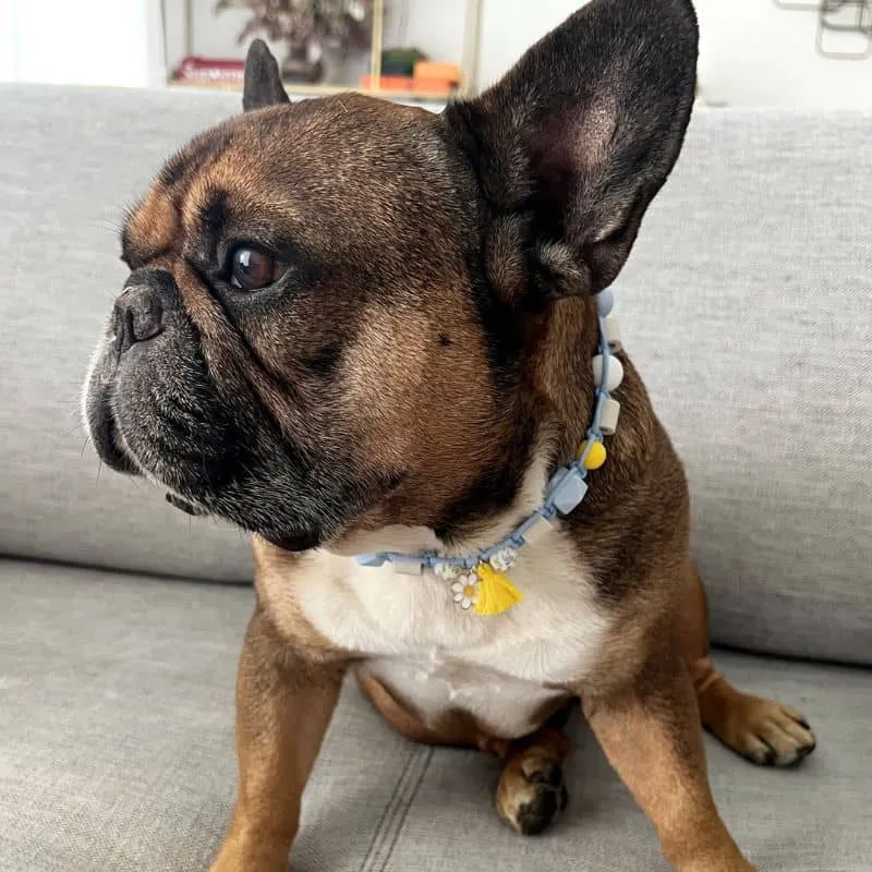 COLLIER ANTIPARASITAIRE POUR CHIEN PERLES DE CERAMIQUE EM - RÉPULSIF ANTI-TIQUE