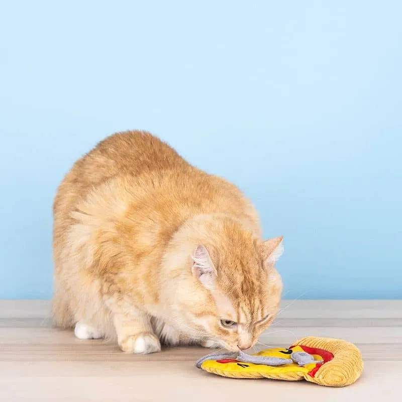JOUET POUR CHAT À L’HERBE À CHAT - PIZZA AUX ANCHOIS 🍕