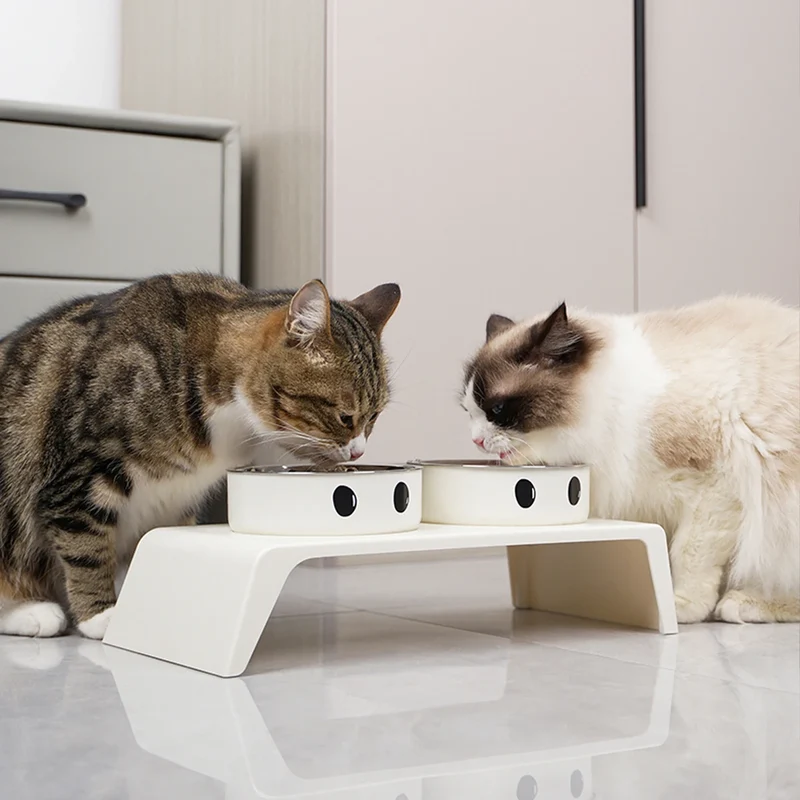 Gamelle Surélevée Petit Chien Chat Double Bol Socle Blanc