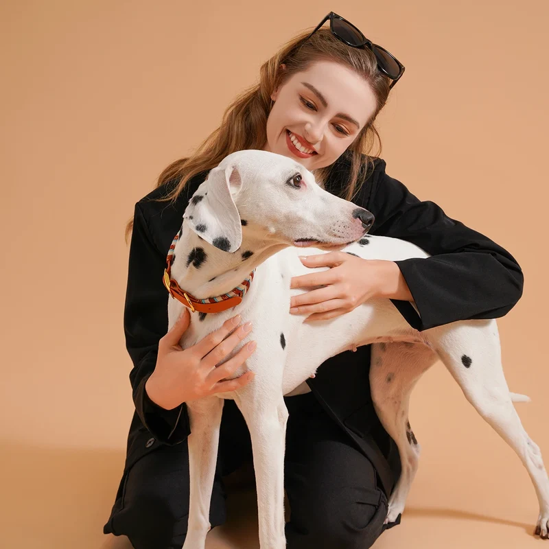 Collier Tressé Coloré Fait Main pour Grand Chien