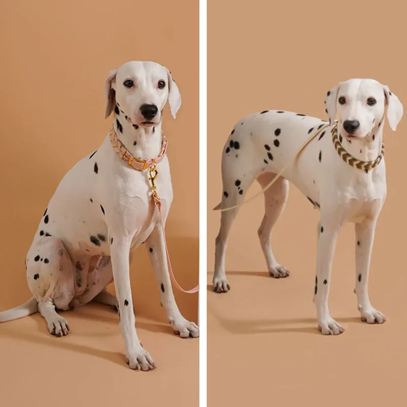 Collier Tressé Coloré Fait Main pour Grand Chien
