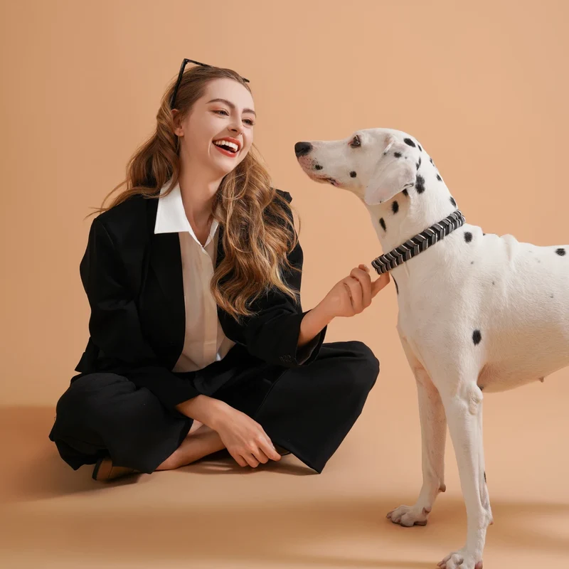 Collier Tressé Coloré Fait Main pour Grand Chien