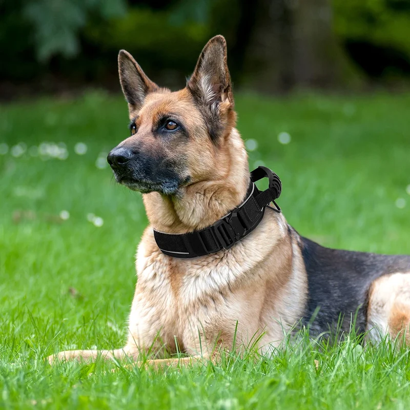 Collier Tactique Militaire Nylon Réfléchissant Gros Chien
