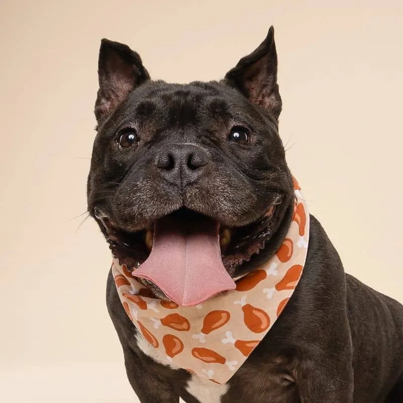 BANDANA POUR CHIEN - CUISSE DE POULET "DRUMSTICK"