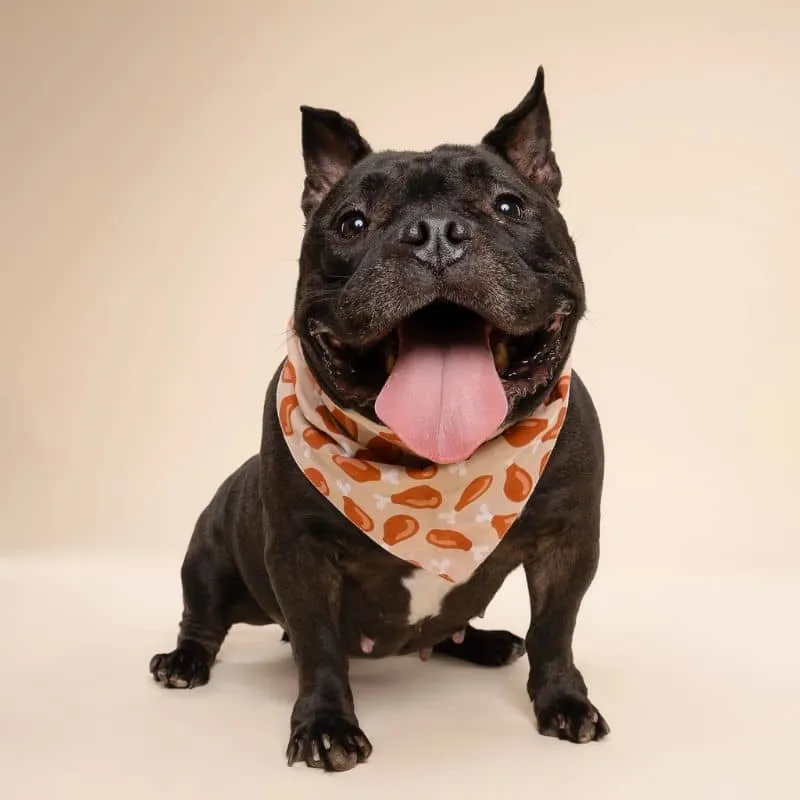 BANDANA POUR CHIEN - CUISSE DE POULET "DRUMSTICK"