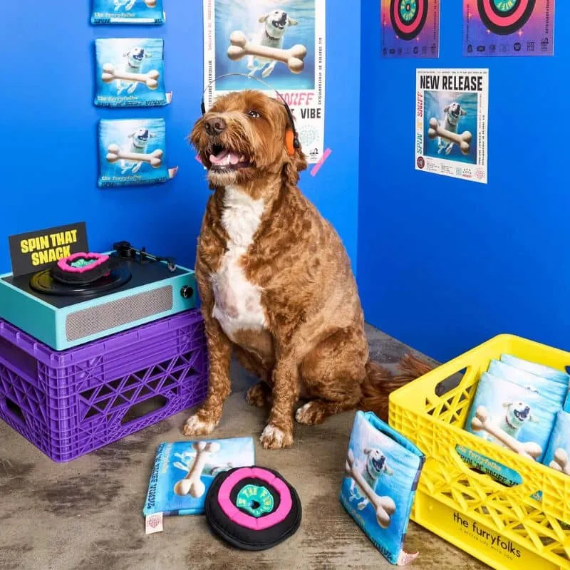 JEU D’OCCUPATION ET DE FOUILLE POUR CHIEN - DISQUE VINYL 🎶