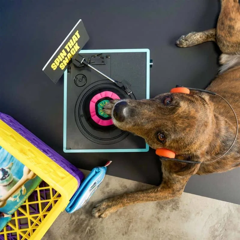JEU D’OCCUPATION ET DE FOUILLE POUR CHIEN - DISQUE VINYL 🎶