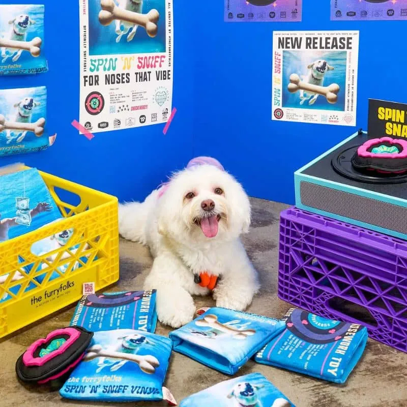 JEU D’OCCUPATION ET DE FOUILLE POUR CHIEN - DISQUE VINYL 🎶