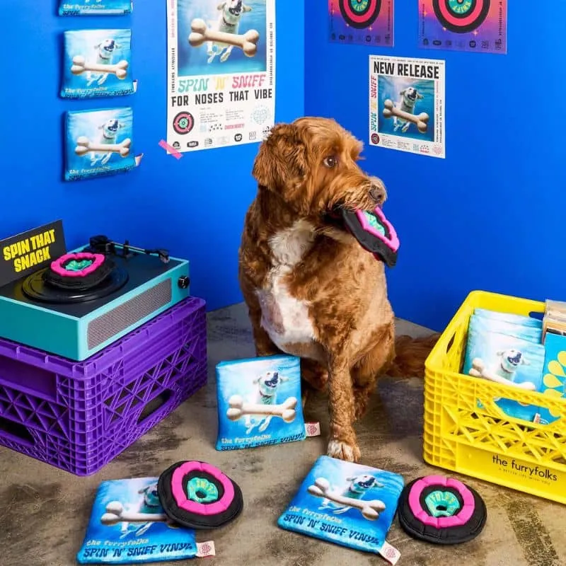 JEU D’OCCUPATION ET DE FOUILLE POUR CHIEN - DISQUE VINYL 🎶