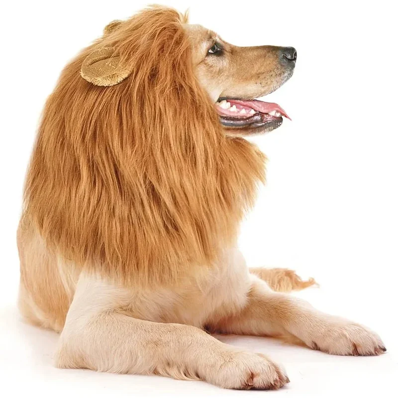 Crinière Lion Réaliste Déguisement Gros Chien