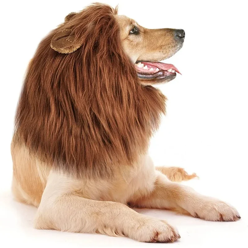 Crinière Lion Réaliste Déguisement Gros Chien