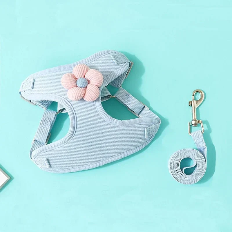Set Harnais Laisse Doux Petit Chien