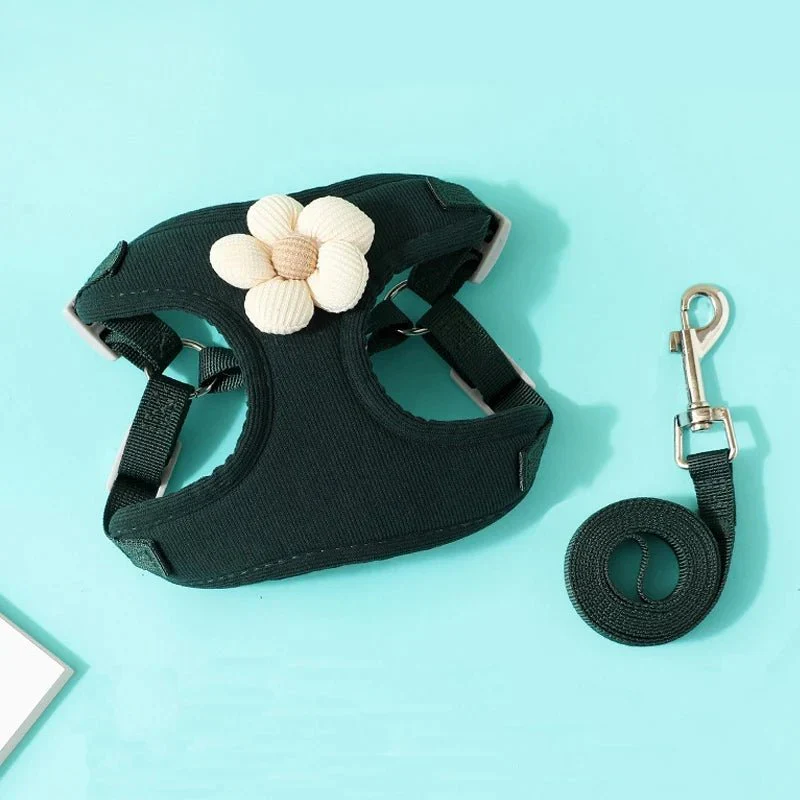 Set Harnais Laisse Doux Petit Chien