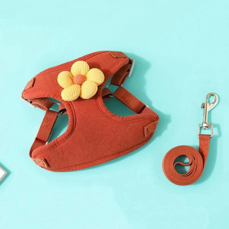 Set Harnais Laisse Doux Petit Chien