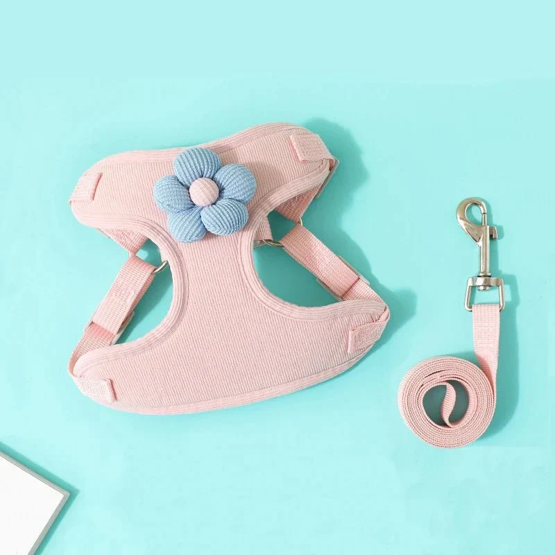 Set Harnais Laisse Doux Petit Chien