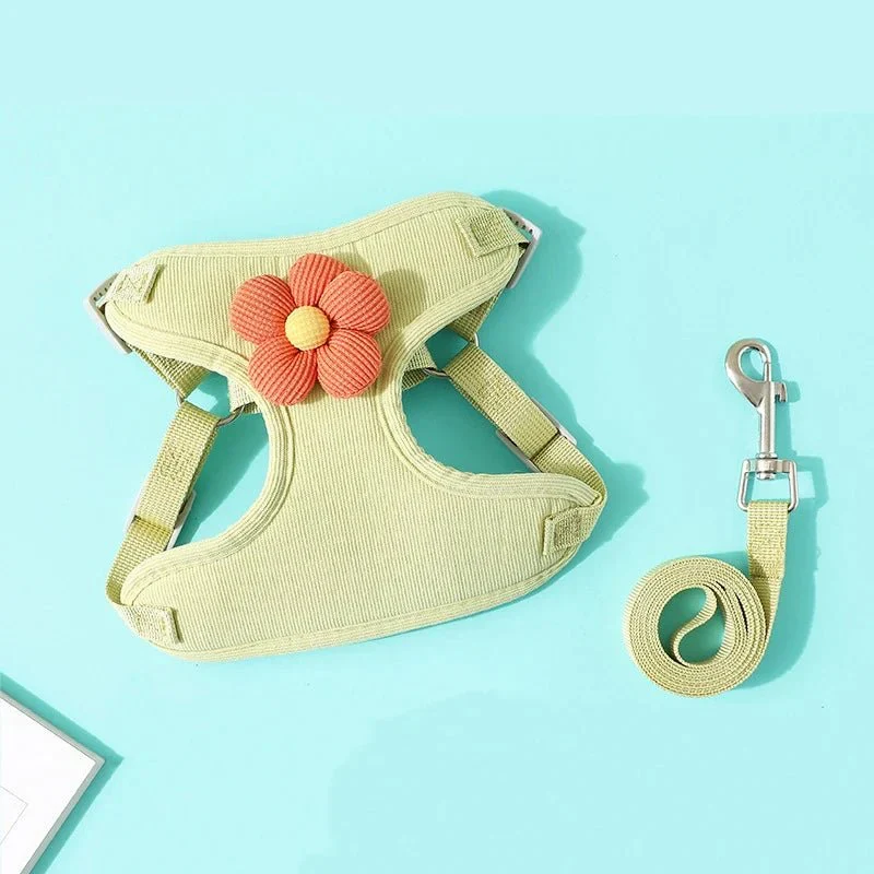 Set Harnais Laisse Doux Petit Chien