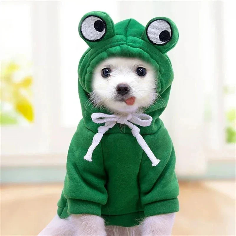 Déguisement Polaire Animaux Chien