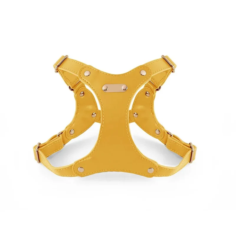 Harnais Cuir Confort Petit Chien