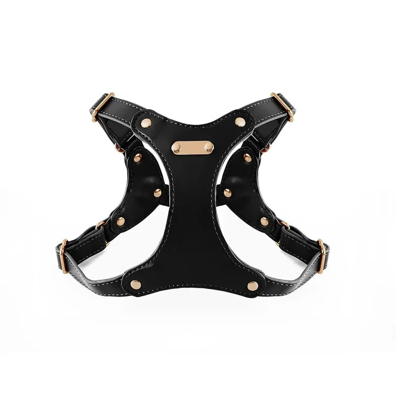 Harnais Cuir Confort Petit Chien