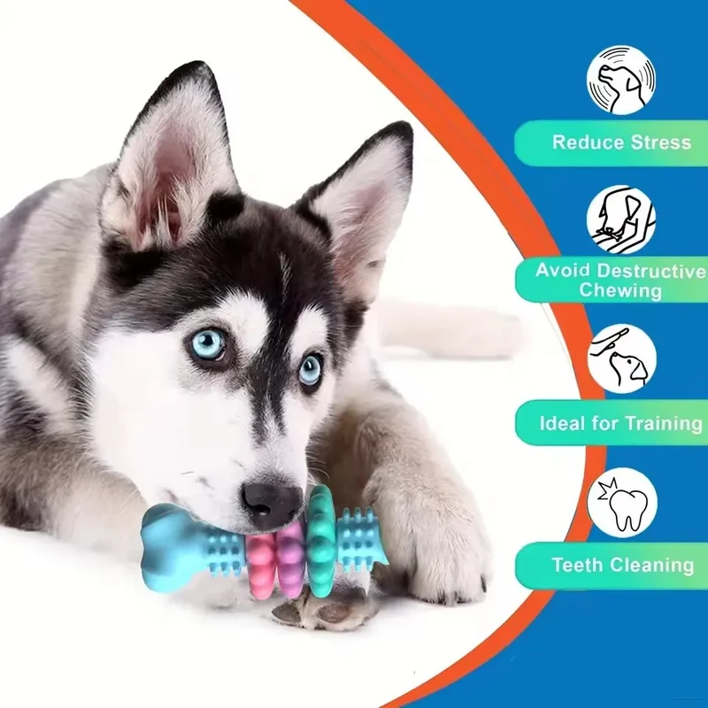 Jouet Indestructible Os à Anneaux Colorés à Mâcher Chien