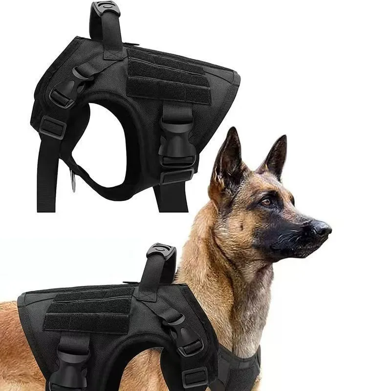 Harnais Tactique Molle Noir Berger Allemand Boucle Métal