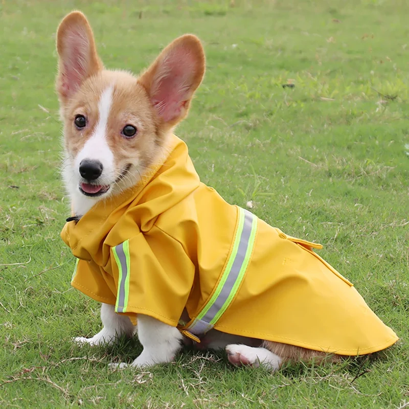 Manteau Imperméable Cape à Capuche Chien Corgi S à 4XL