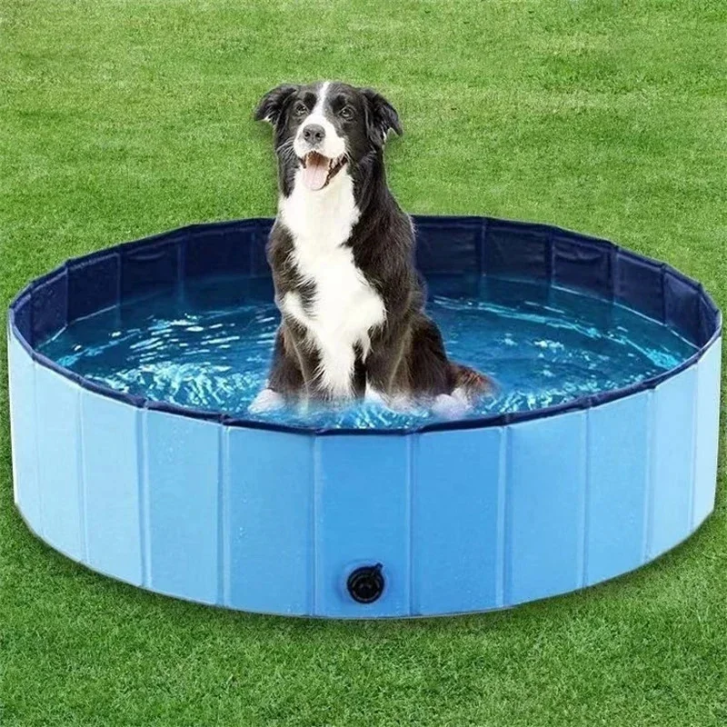 Piscine pour Chien 160 cm Pliable avec Vidange