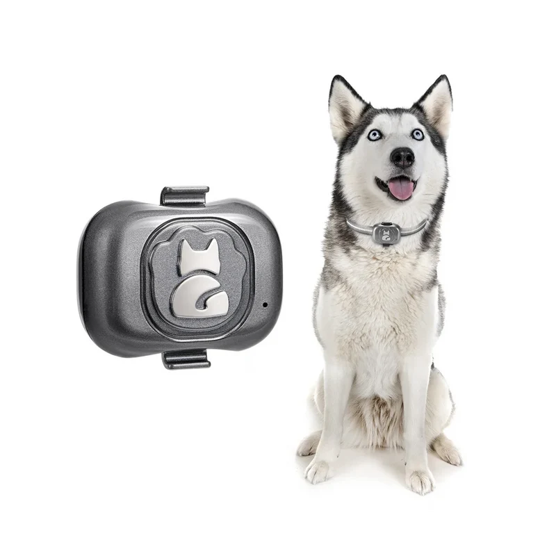 Traceur GPS 4G Chien Étanche à Clipser sur Collier