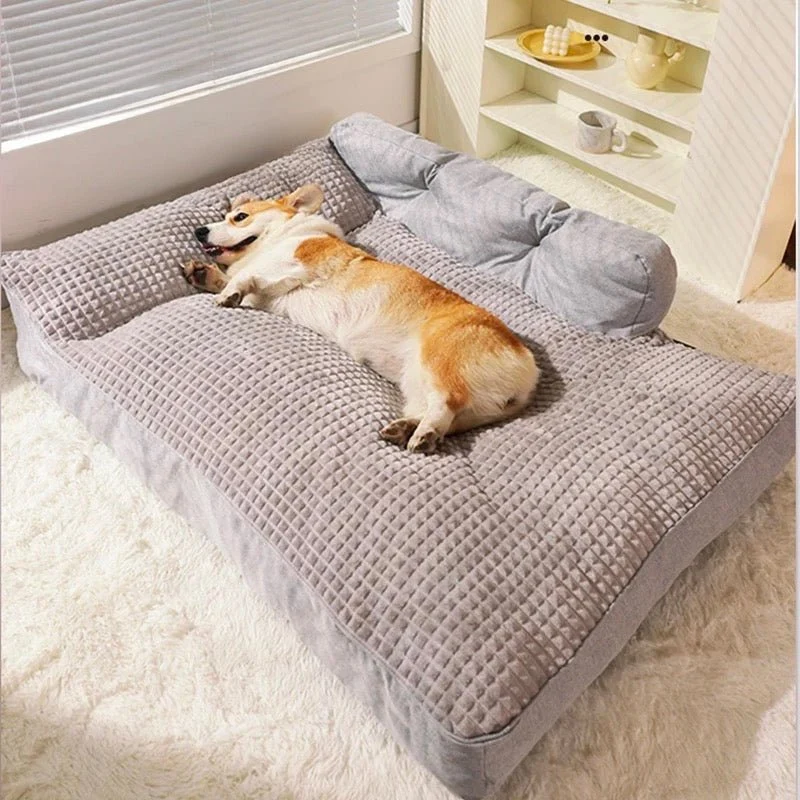 Tapis Moelleux Confortable Gros Chien M à XXL