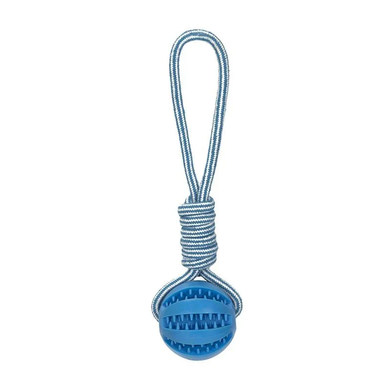 Balle Friandise Interactive Chien Chiot