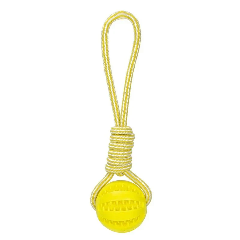 Balle Friandise Interactive Chien Chiot