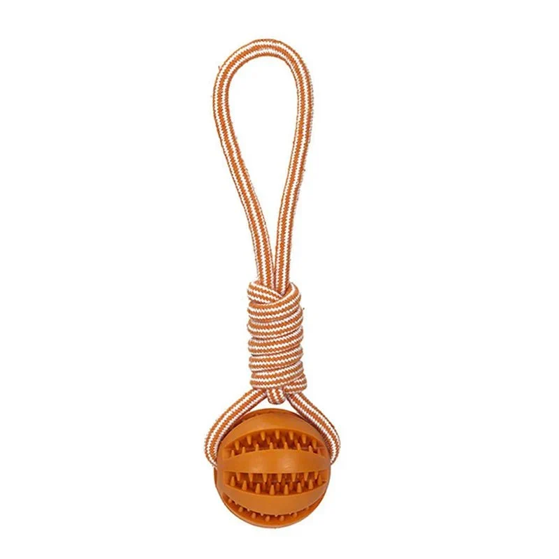 Balle Friandise Interactive Chien Chiot