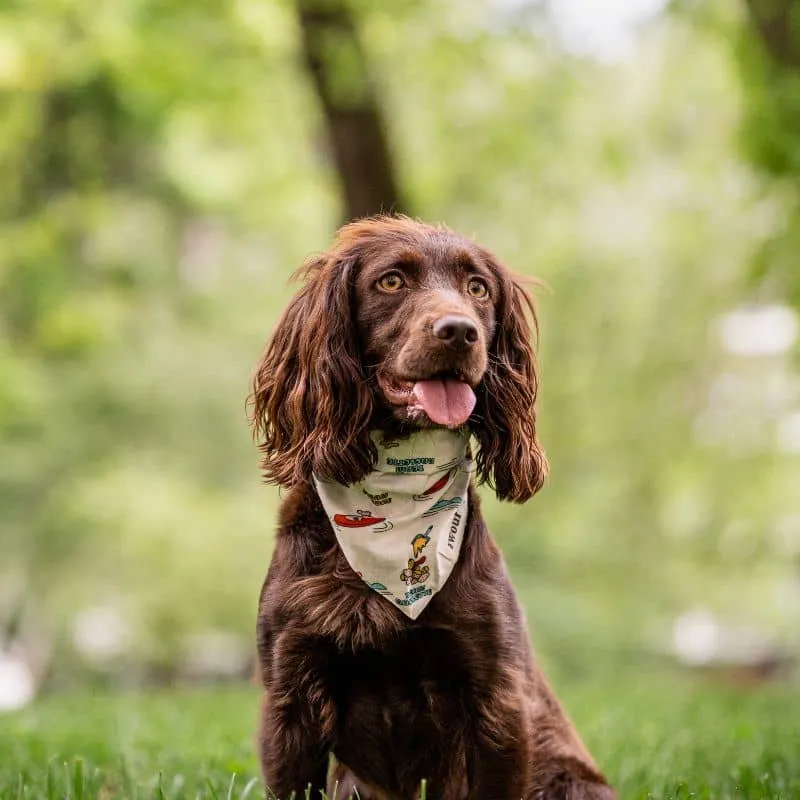 BANDANA POUR CHIEN - SOUVENIR D'ANNECY