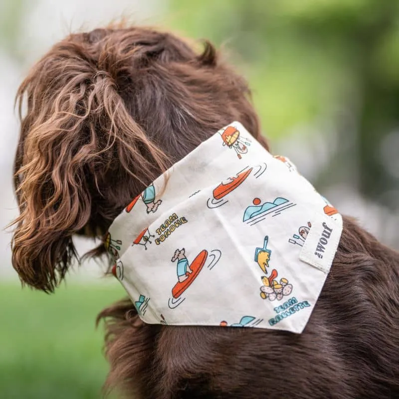 BANDANA POUR CHIEN - SOUVENIR D'ANNECY