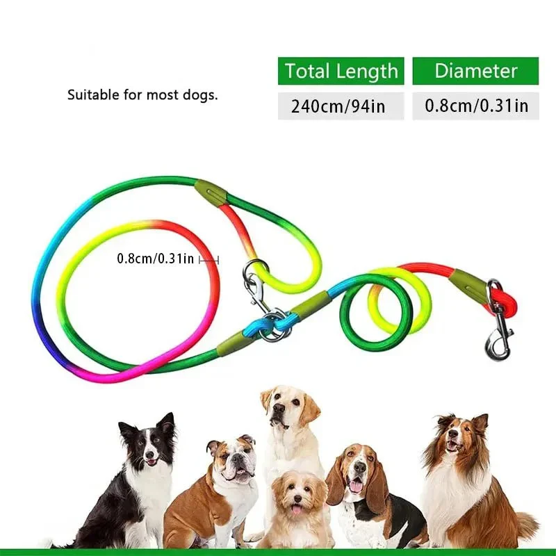 Laisse Lasso Nylon Réfléchissante Gros Chien