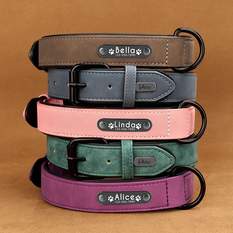 Collier Cuir Personnalisé Plaque Gravée Grand Chien