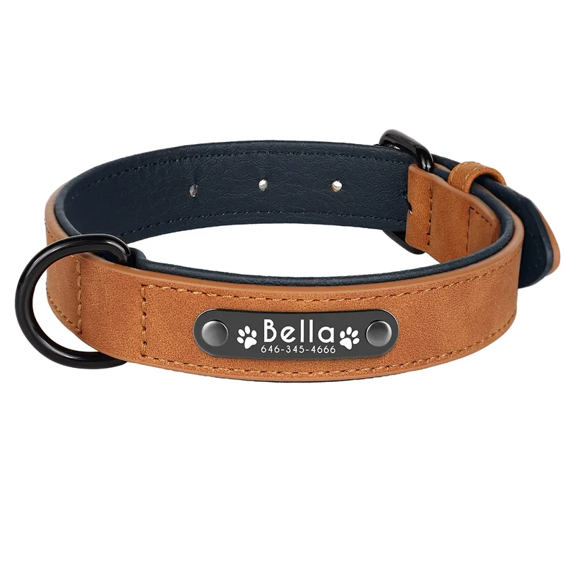 Collier Cuir Personnalisé Plaque Gravée Grand Chien