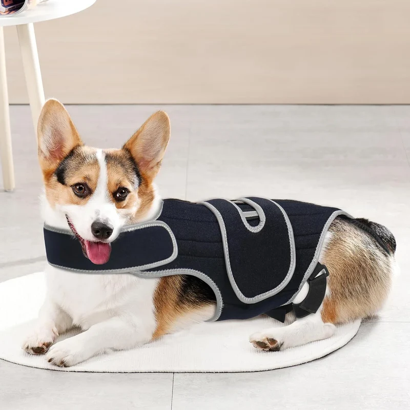 Attelle Dorsale Orthopédique Réglable pour Gros Chien