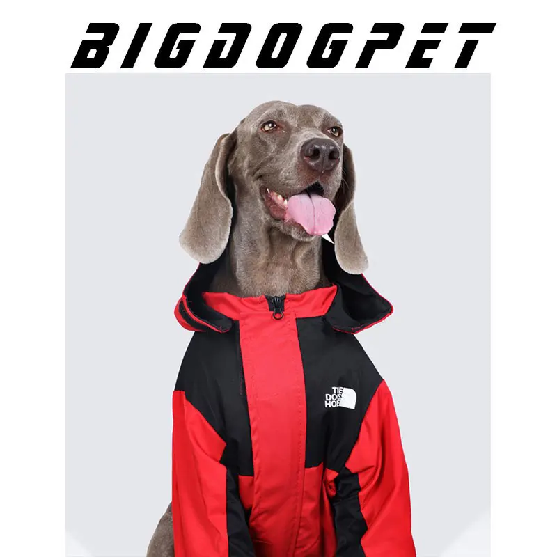 Manteau Imperméable à Capuche Zippé Gros Chien