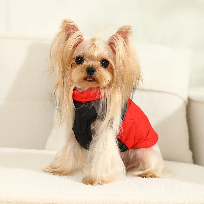 Manteau Matelassé Zippé Réfléchissant Grande Taille Chien