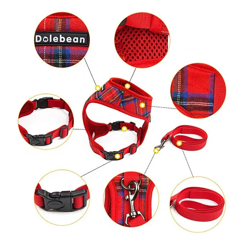 Set Harnais Y Petit Gros Chien Laisse 120cm