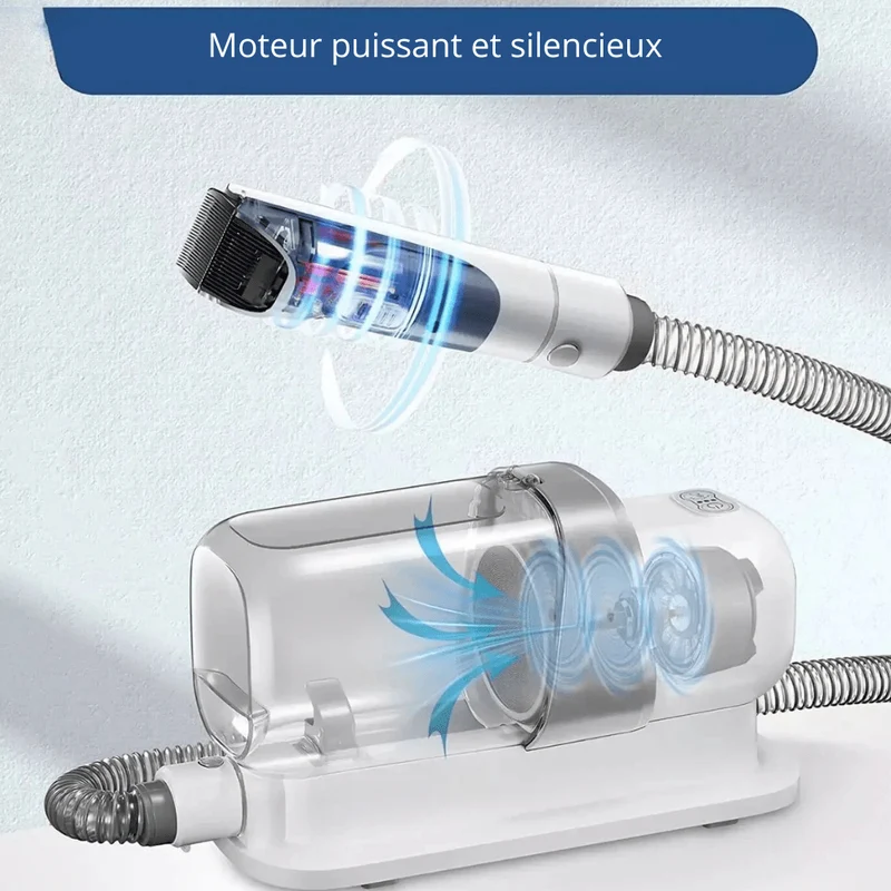 Aspirateur Toilettage Chien 1200W Silencieux