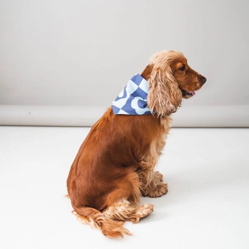 BANDANA POUR CHIEN - FLEURS BLEUES RETRO