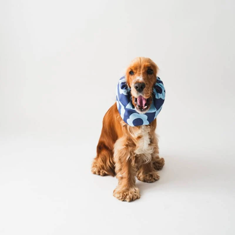 SNOOD POUR CHIEN EN COTON - FLEURS BLEUES RETRO