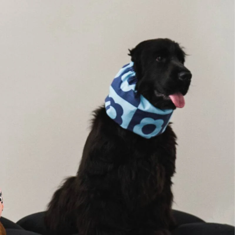 SNOOD POUR CHIEN EN COTON - FLEURS BLEUES RETRO