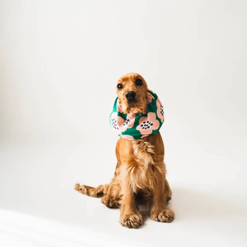 SNOOD POUR CHIEN EN COTON - VERT À FLEURS