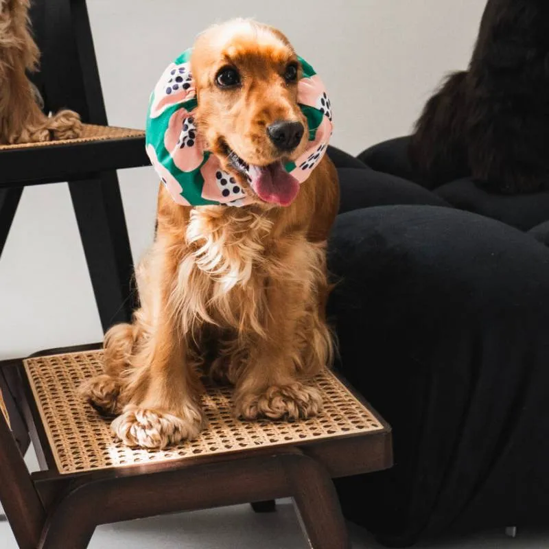SNOOD POUR CHIEN EN COTON - VERT À FLEURS