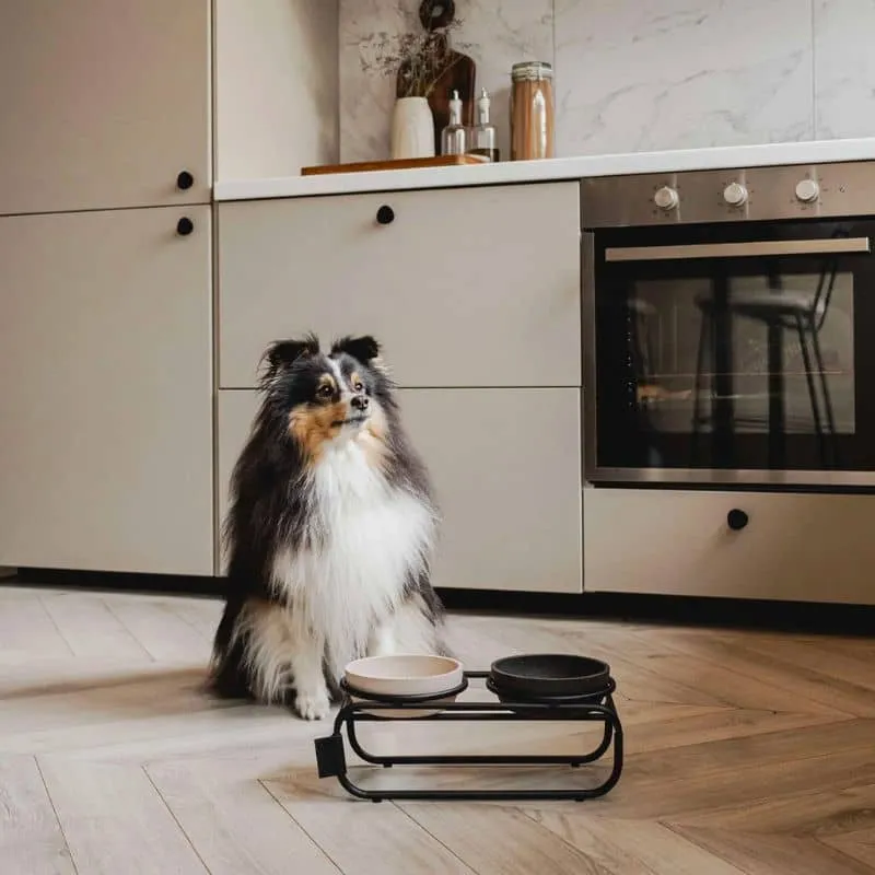 SUPPORT SURÉLEVÉ POUR GAMELLE DOUBLE POUR CHIEN - MÉTAL NOIR